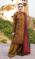 HUSSAIN REHAR - 3PC Heavy Embroidered Dhannak shirt with Printed Wool Shawl